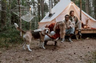 Wat zijn de beste huisdierententen voor buitenkamperen met uw hond?